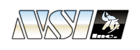 NSI Logo